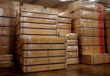 En mayo las exportaciones forestales generaron menos ingresos que en 2021