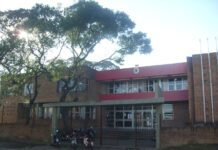 Con más de mil firmas: Docentes de Física y Química envían nota a Robert Silva, por recortes horarios en esas materias