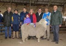 Expo Salto 2022, de conferencias ganados y remates, las propuestas por los corrales