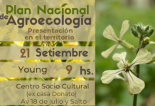Arrancan hoy: Convocatoria a participar en los Talleres de Territorialización del Plan Nacional de Agroecología