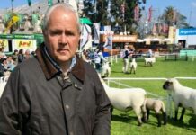 “Habría que hacer un cambio de estrategia” respecto a la brucelosis en Uruguay