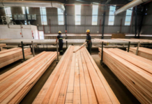 Las exportaciones de madera aserrada de Eucalyptus crecieron 13%