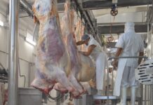 China habilitó al frigorífico La Trinidad para exportar carne bovina y ovina