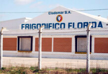 El BROU fue el único que ofertó y se quedó con Frigorífico Florida