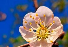 Charlie Adamson: La luna es una buena Diosa que tiene sus caprichos los lunes