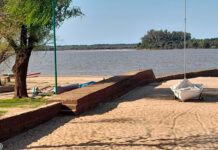 Prono Mañanero: Charlie Adamson Bienvenida a la «Primera verdad»