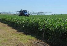 Neno Escanellas (Lista 25 PC): «El agro es el pilar de desarrollo económico y social»