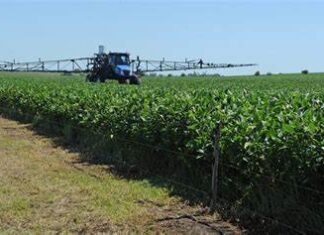 Neno Escanellas (Lista 25 PC): «El agro es el pilar de desarrollo económico y social»