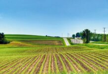 Juan Pablo Perrachon: Hay ambiente en Salto para hablar de ambiente?