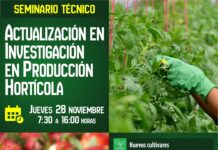 28/11/2024: Actualización en Investigación en Producción Hortícola