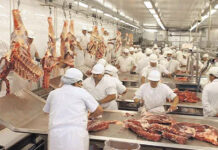 Trabajadores de la industria frigorífica en conflicto pueden decidir paros sorpresivos