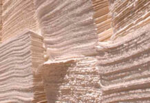 Forestal: Semanas de incertidumbre para la celulosa