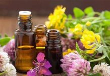 Secretos de la aromaterapia: mejora tu bienestar emocional y físico