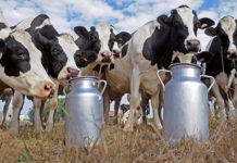 ANPL presentó su “Agenda de Desarrollo del Sector Lechero 2025-2030”