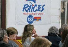 Raíces Frenteamplistas a la opinión pública