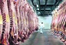 Tercera semana consecutiva con la faena distorsionada por conflictos gremiales