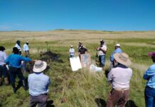 Se realizó la primera jornada de ITE Acondicionamiento de Vertientes en Salto