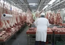 Ministerio de Trabajo citó a FOICA y la semana cruza sin nuevas medidas