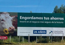 Conexión Ganadera: “agujero” de US$ 230 millones, la opción para recuperar un 40%, y una quiebra “inevitable”