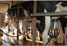 Juan Castillo expresó preocupación por posibles cierres de empresas lácteas