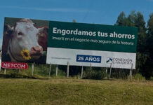 Conexión Ganadera suspendió el streaming previsto para ayer