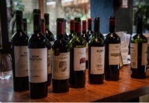 Uruguay exportó 40% más de litros de vino envasado en 2024