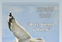 «Alas, viento y vuelo», Karina Carrara expone en Punta del Este, marzo 2025