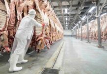 Cerca del 15% de los trabajadores de la industria frigorífica en seguro de paro