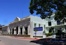 El arte y la Intendencia: Entre el Compromiso y la Independencia