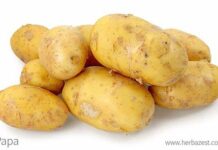 Rompe el mito: La papa, un tesoro nutricional