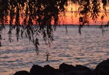 Habrá un mañana?, dependerá de todos…