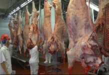 China suspendió importaciones de carne de algunas plantas de Uruguay, Brasil y Argentina