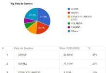 Por suspensión de China el frigorífico Sirsil pierde un mercado fundamental