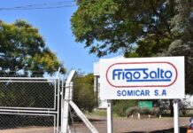 Somicar a concurso de acreedores: pasivo supera los US$ 23 millones