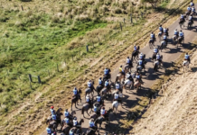 Cabañas salteñas lideraron las tres categorías de la marchita en Paysandú