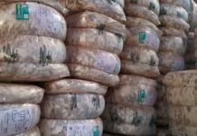 Ovinos: SUL comercializó sus lanas en llamado a precios