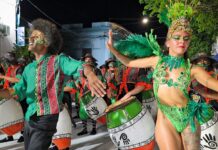 Cuando la cultura encuentra tierra fértil para crecer