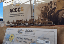 Las cabañas salteñas siguen marcando el ritmo del campeonato de marchitas