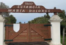 Síntesis argumental: informe técnico que fundamenta la compra del Instituto Nacional de Colonización