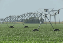 “En honor” a Mujica: gobierno anunció compra del INC de 4.400 ha en Florida