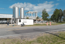 La marca Calcar retorna a las góndolas desde este jueves