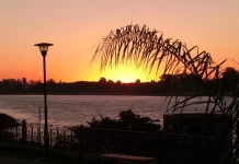 Los ejes rectores de la política cultural