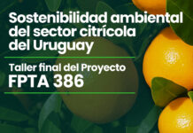 Taller final del proyecto FPTA 386: Sostenibilidad ambiental del sector citrícola del Uruguay