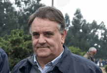 Citricultura proyecta duplicar ventas a EEUU y demanda apoyo en infraestructura