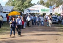 Expo Salto 2025: Más de 50 escuelas rurales participarán y habrá fuerte presencia artística