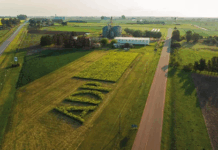 ADP adquirió Goyaike, la pata uruguaya de Pérez Companc en Uruguay