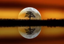 Ella se perdió en la noche…