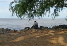 Cosas del río: Reflexiones de vida a orillas del Uruguay, el martes de carnaval