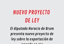 HORACIO DE BRUM 𝙉𝙐𝙀𝙑𝙊 𝙋𝙍𝙊𝙔𝙀𝘾𝙏𝙊 𝘿𝙀 𝙇𝙀𝙔 𝙎𝙊𝘽𝙍𝙀 𝙀𝙓𝙋𝙊𝙍𝙏𝘼𝘾𝙄Ó𝙉 𝘿𝙀 𝙂𝘼𝙉𝘼𝘿𝙊 𝙀𝙉 𝙋𝙄𝙀