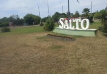 Salteñicolas, la fábrica de salteños, el soberbio orgullo de la humildad